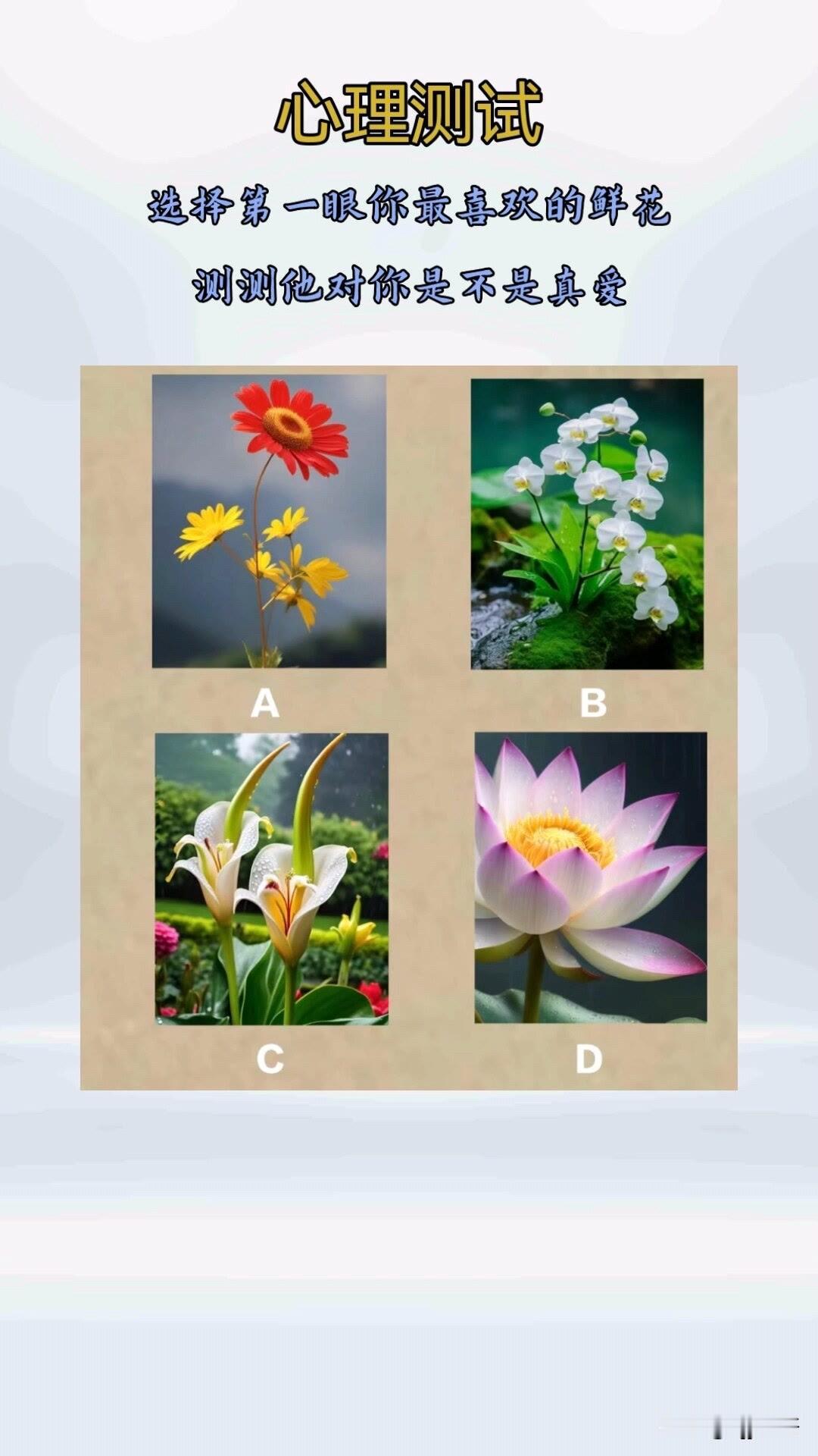 选择第一眼你最喜欢的鲜花测测他对你是不是真爱