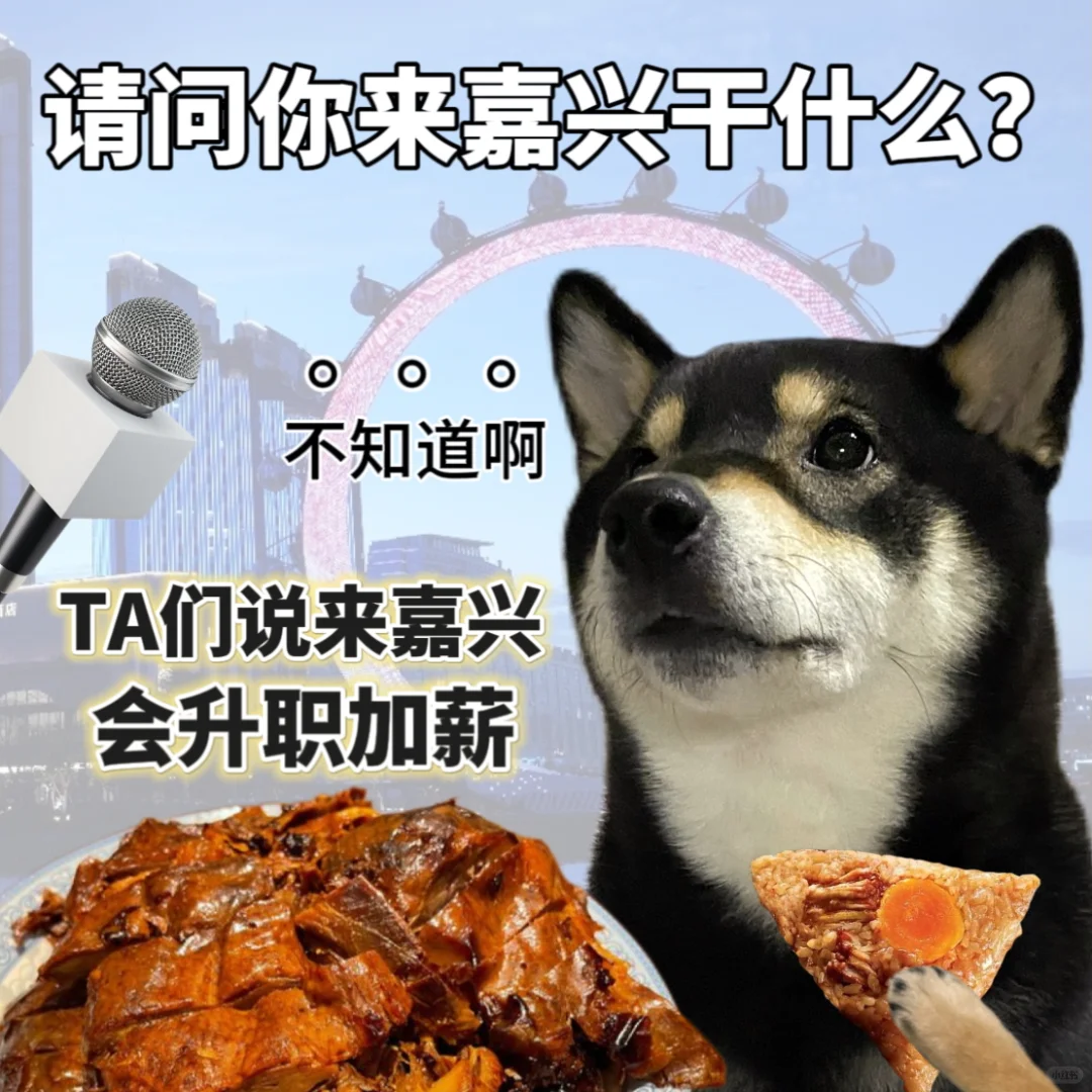 表情包|旅行谐音梗🧳