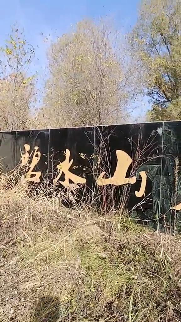 过来接我，go。