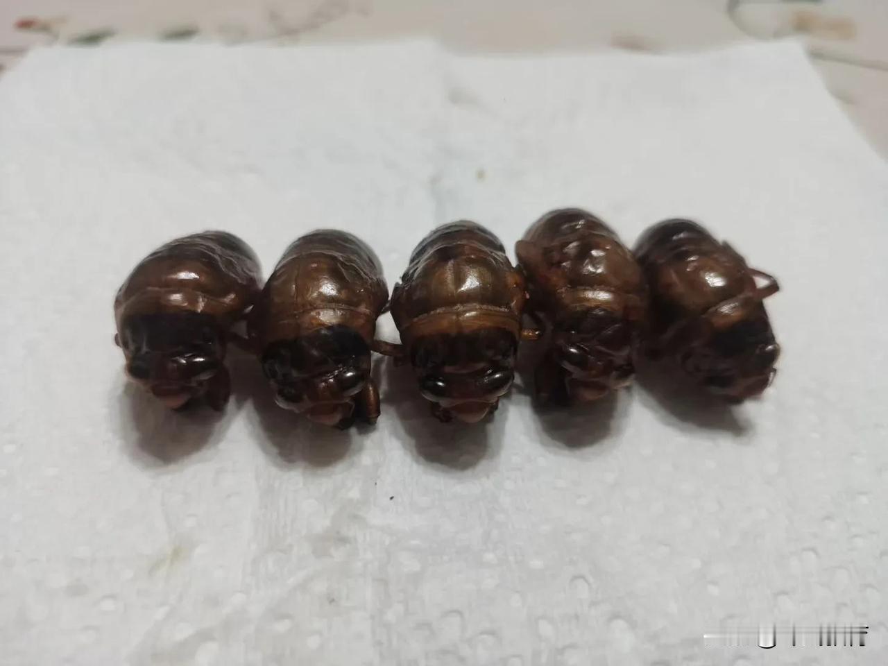 宵夜就是它们了
