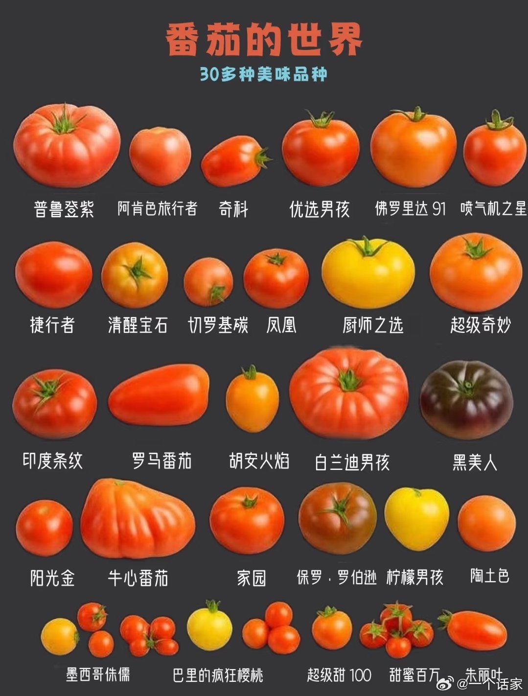 番茄竟然有这么多种，你吃过几种？ ​​​