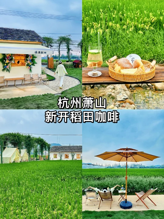 杭州新店❗️萧山也有稻田咖啡了☕️🌾