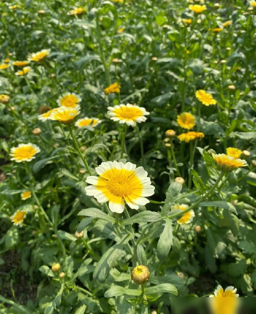 你敢信？娘家妈带娃塞两万都心虚，婆家免费带娃却天天挑刺！
上周跟女同事撸串，她