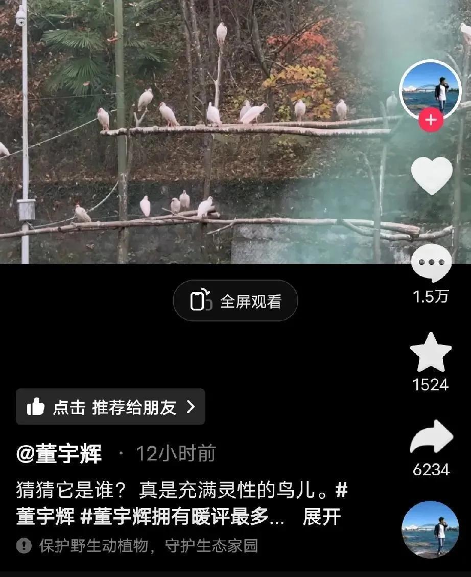 董宇辉跑去看鸟了，与辉同行排班表没见山东场，咋回事呢？


山东文旅也官宣了宇辉