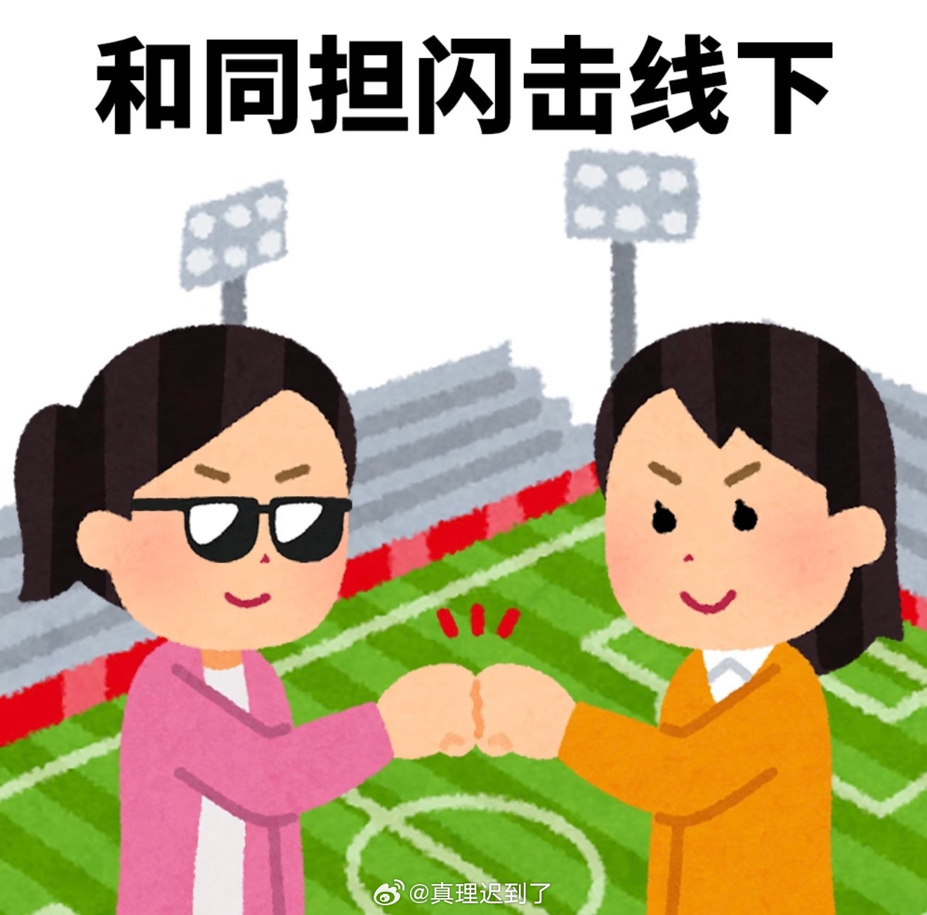 有点幸福了 一个高铁起码一半都是同担 看到了很多白鹿挂牌 