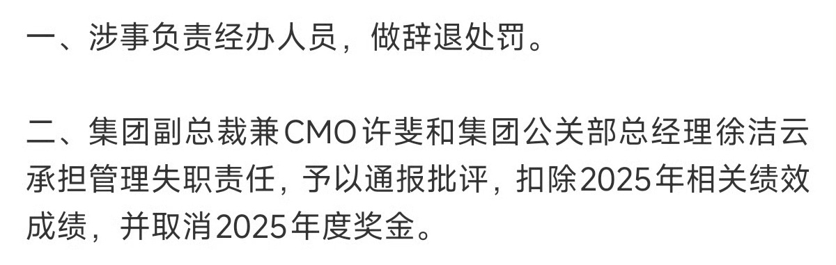 经办人员被辞退，两位高管领罚。首先用不用一个KOL根本到不了副总裁兼CMO这里，