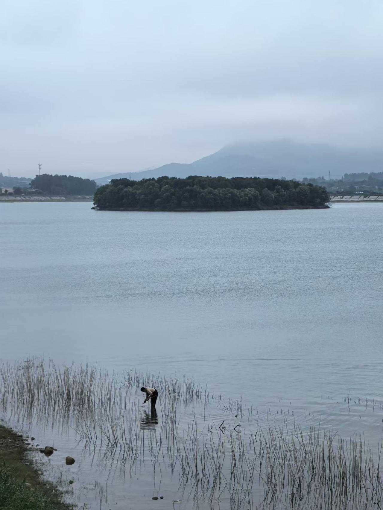 渺沧海之一粟
​寄蜉蝣于天地