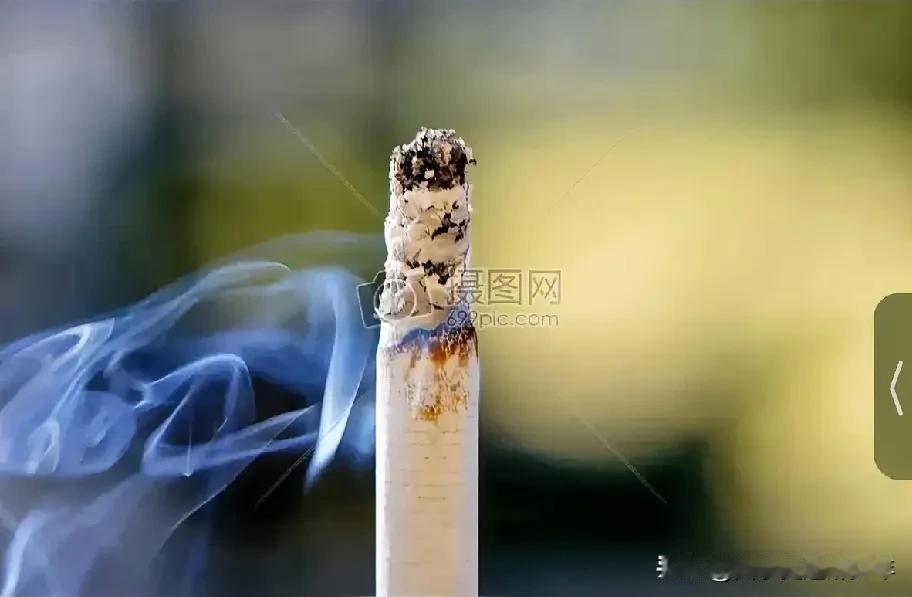 香烟到头都是灰，
生命终结化作土。