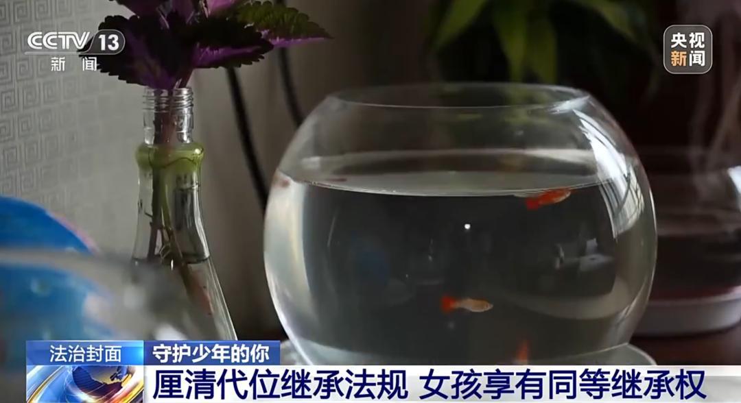 “太让人心疼了！” 上海一名 13 岁女孩接连遭遇家庭重创，父母离异后她跟着父亲