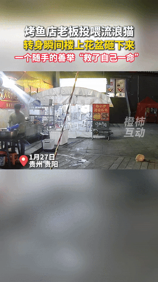 解释不清了！贵州，一烤鱼店老板拿着鱼杂准备去喂流浪猫，没想到，他刚离开摊位，楼上