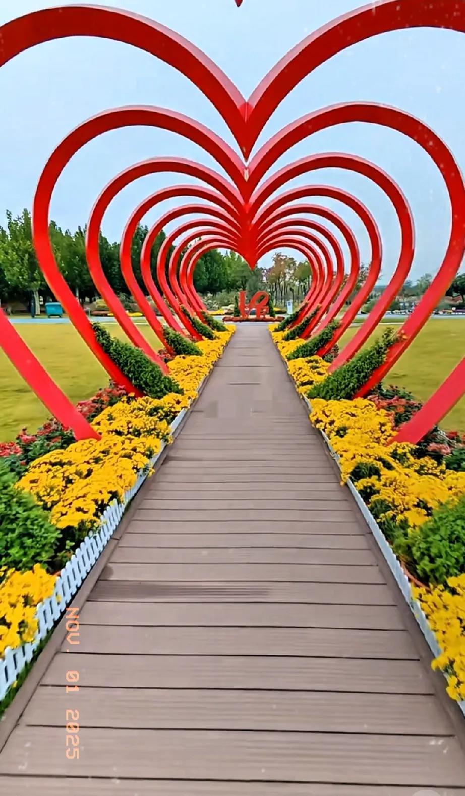 我哥说我30多岁的人了，也不找个对象！长的要说磕碜吧也不磕碜，咋就对男的不感兴趣