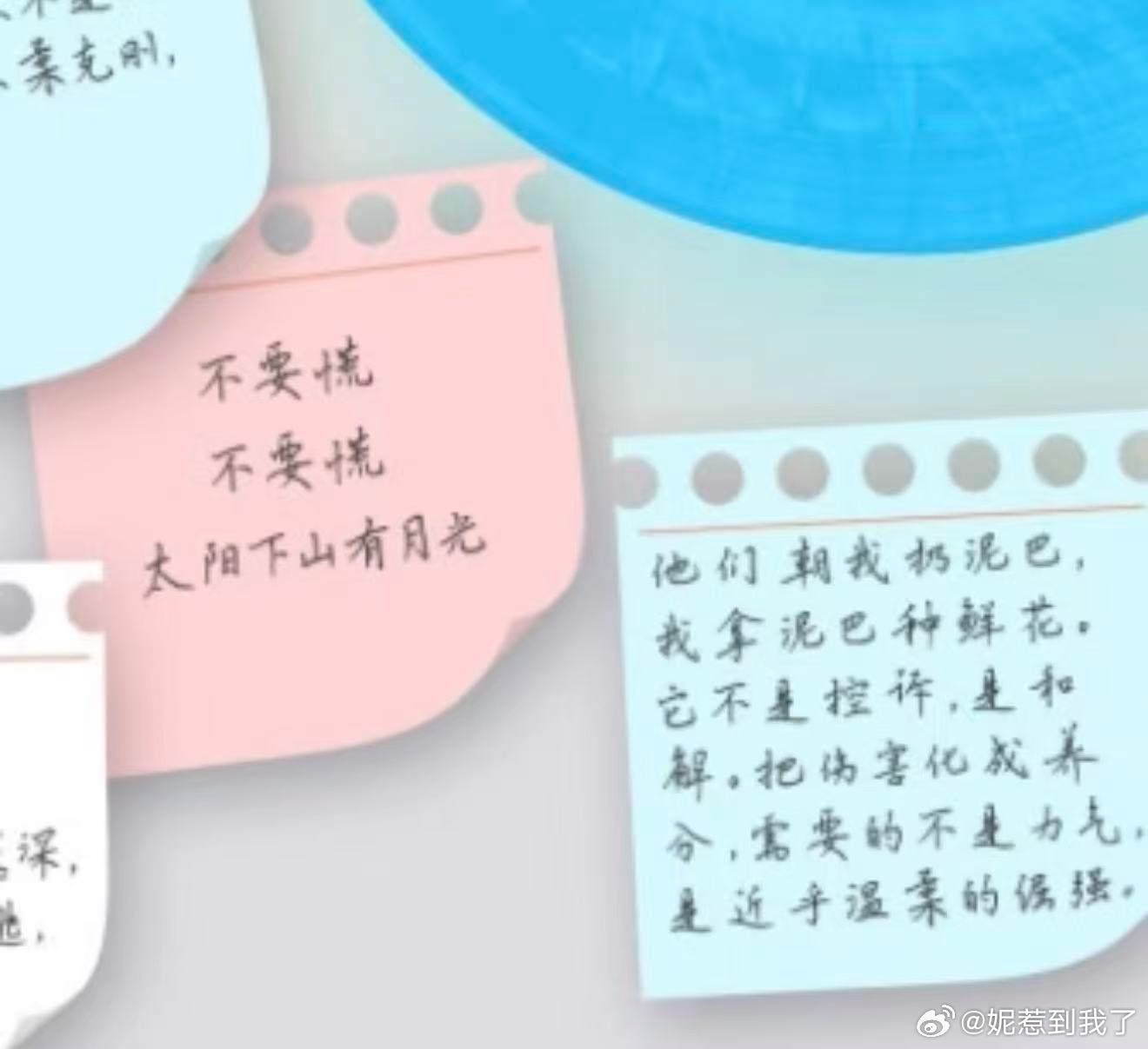 朋朋说大家做的公益项目他都能看到 所以这个 就是他自己选的吧 这是苞米每次做公益