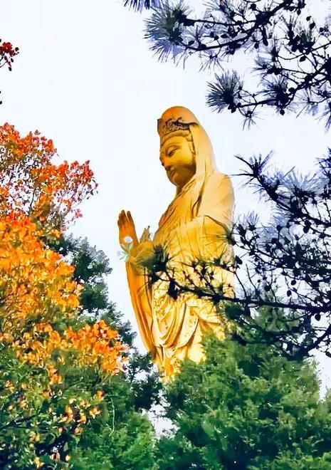 甲辰年农历五月三十，功德圆满，观世音菩萨恭祝大家生活富足，平安康健。
向观世音菩