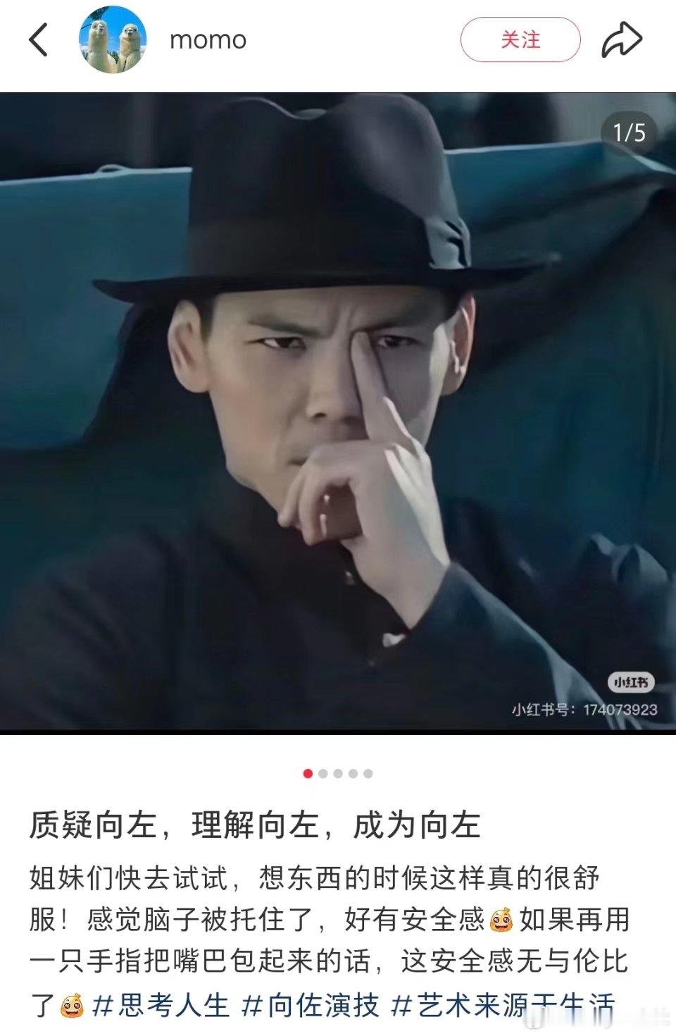 #质疑向佐理解向佐成为向佐##全网都在学向佐的用鼻梁思考#哈哈哈哈，好一个质疑向