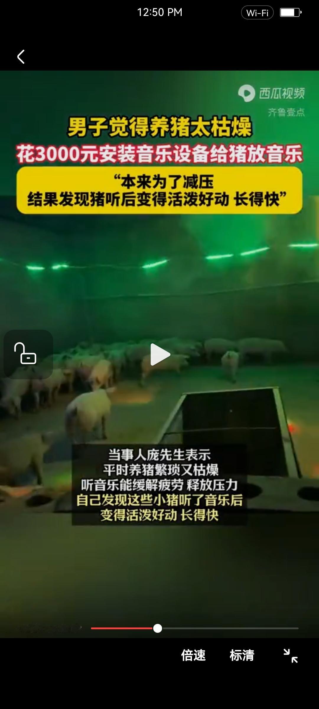 “瞎猫碰上死耗子—歪打正着！”

广西玉林，庞先生觉得养猪的日子比较枯燥无味，就