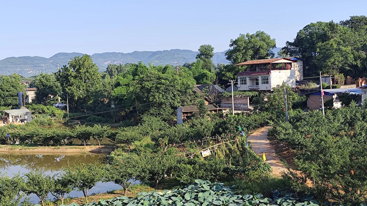 晒图笔记大赛家乡的乡村风景欣赏！每日一图随手拍