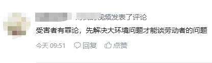 有一条网友评论：先解决社会环境再谈劳动者的问题。
因为我的视频，是指出很多青年职