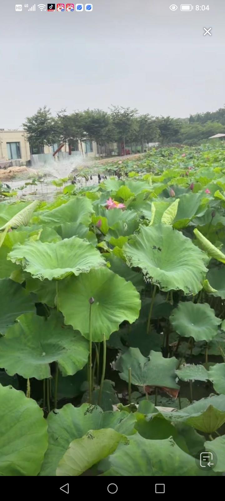 倘若你获取了财产，那就应当赡养岳母，否则便是忘恩负义。毕竟岳母养育女儿，还赠送房