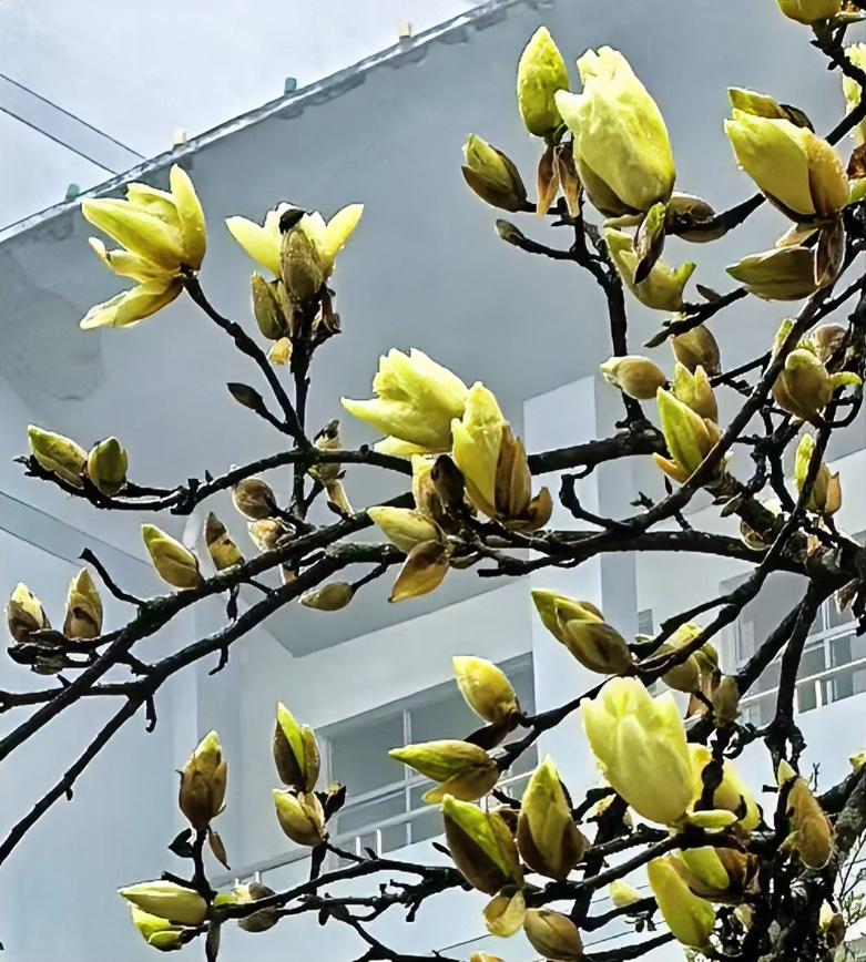 改变这6种习惯，生活越来越顺，不仿你也试试。
不再给爸妈往冰箱里塞一堆肉，而是常