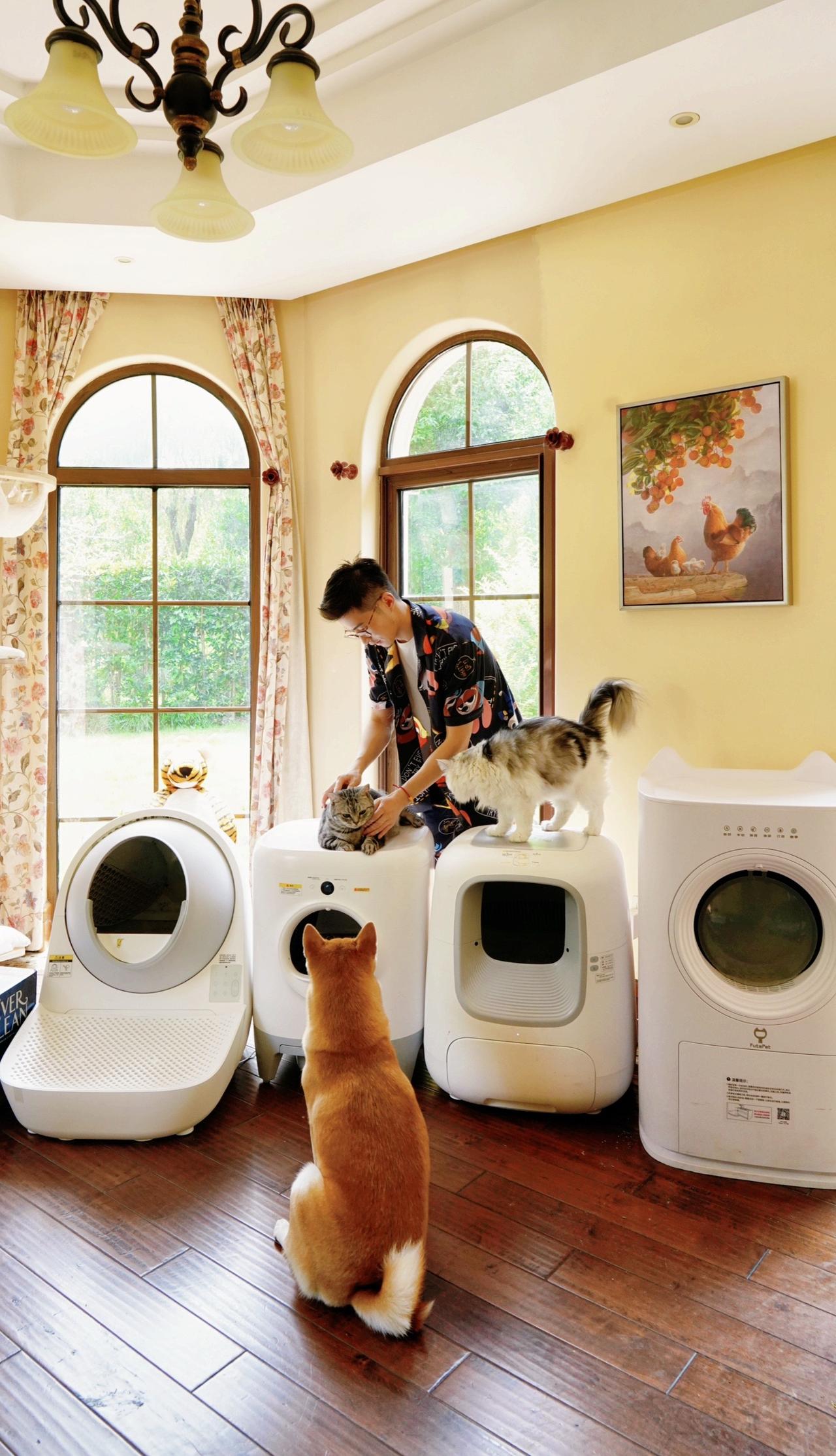 猫砂 晒出你的猫 养猫 铲屎官