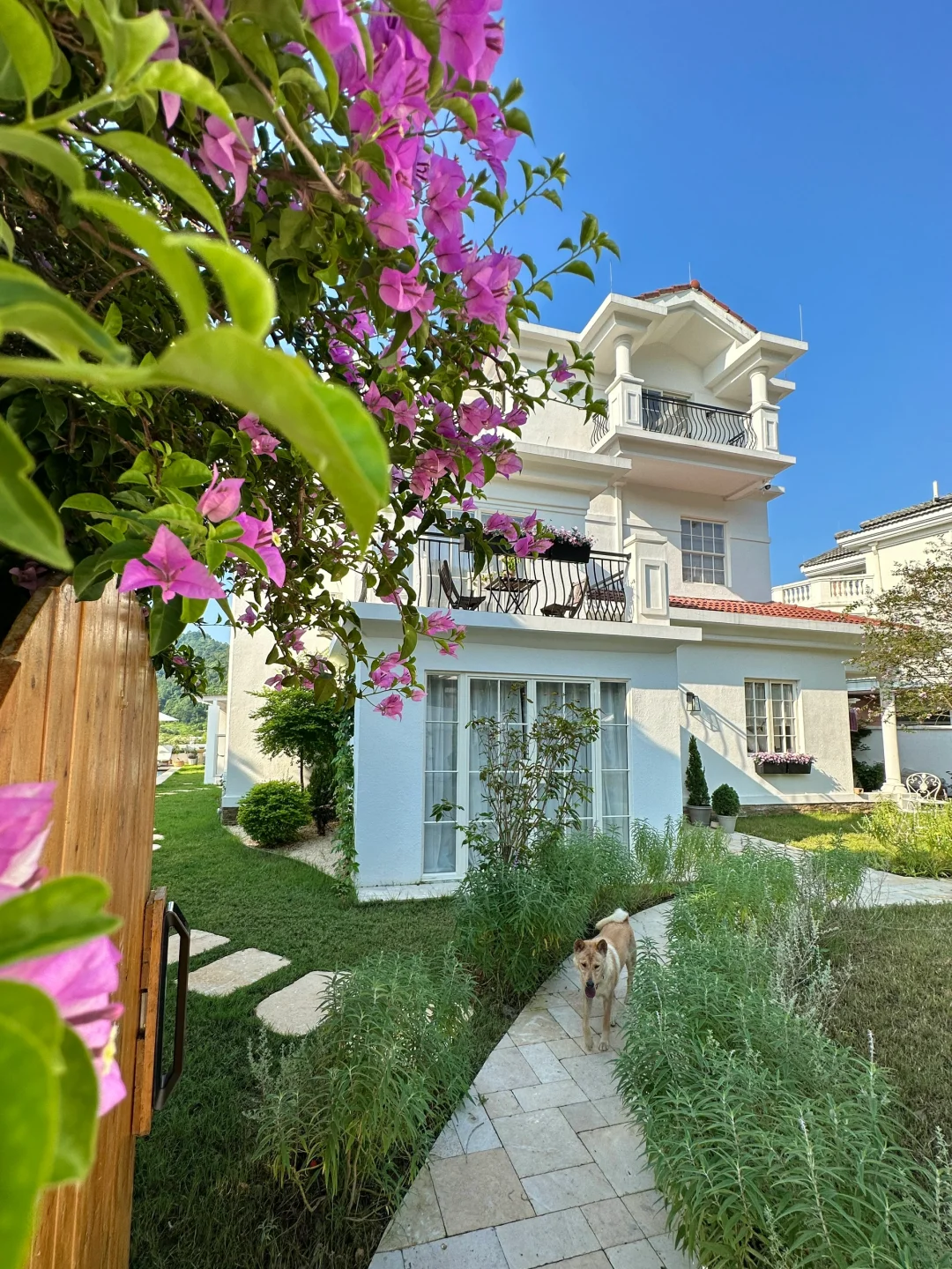 竟然住进了3年前梦里的家🏡