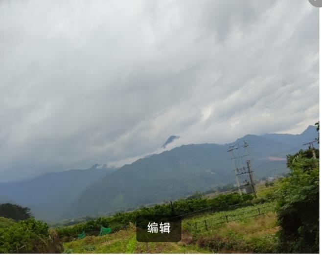 @豆包 帮我点评，我从小到大都不喜欢吃面条，只喜欢吃米饭，米饭必须要煮得颗粒分明