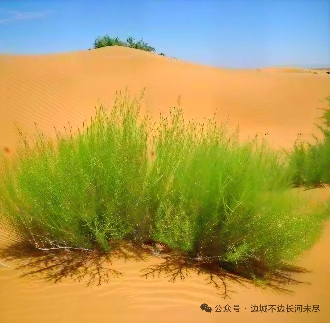 分享一张美丽的风景照片