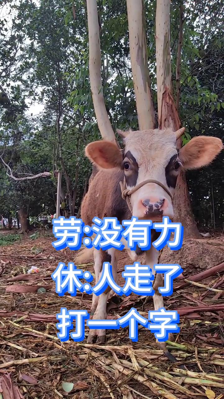 劳：没有力。休：人走了。打一个字。