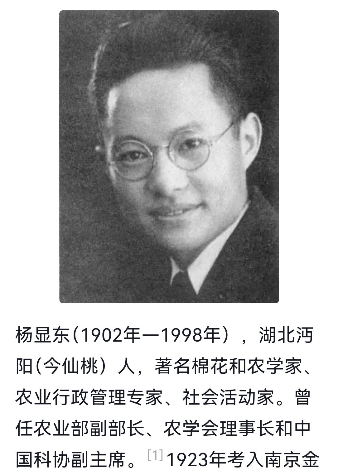 杨显东简介