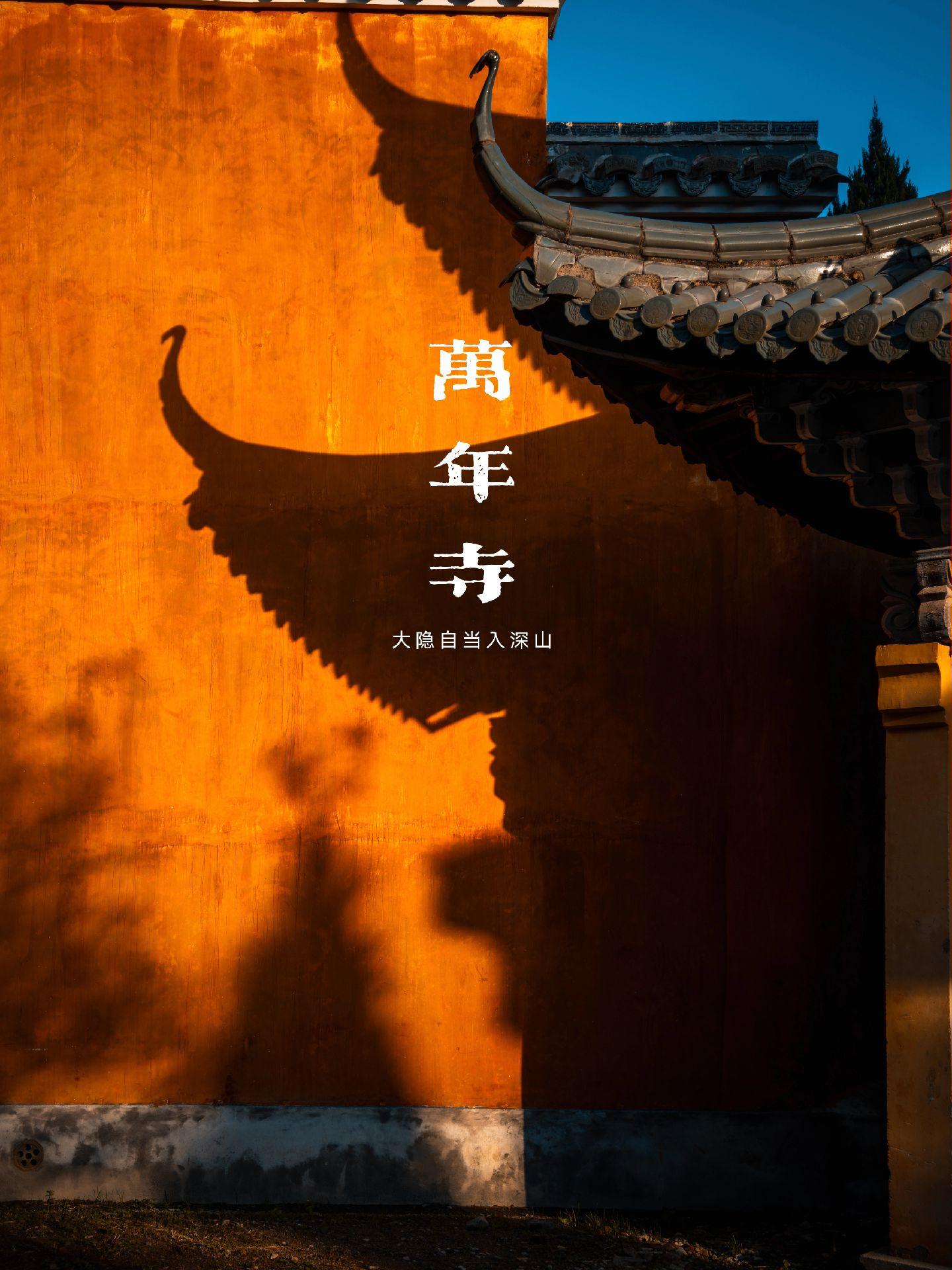 【时光禅影】在天台万年寺，与历史对话。🌄【穿越时空的静谧】🌄  在...