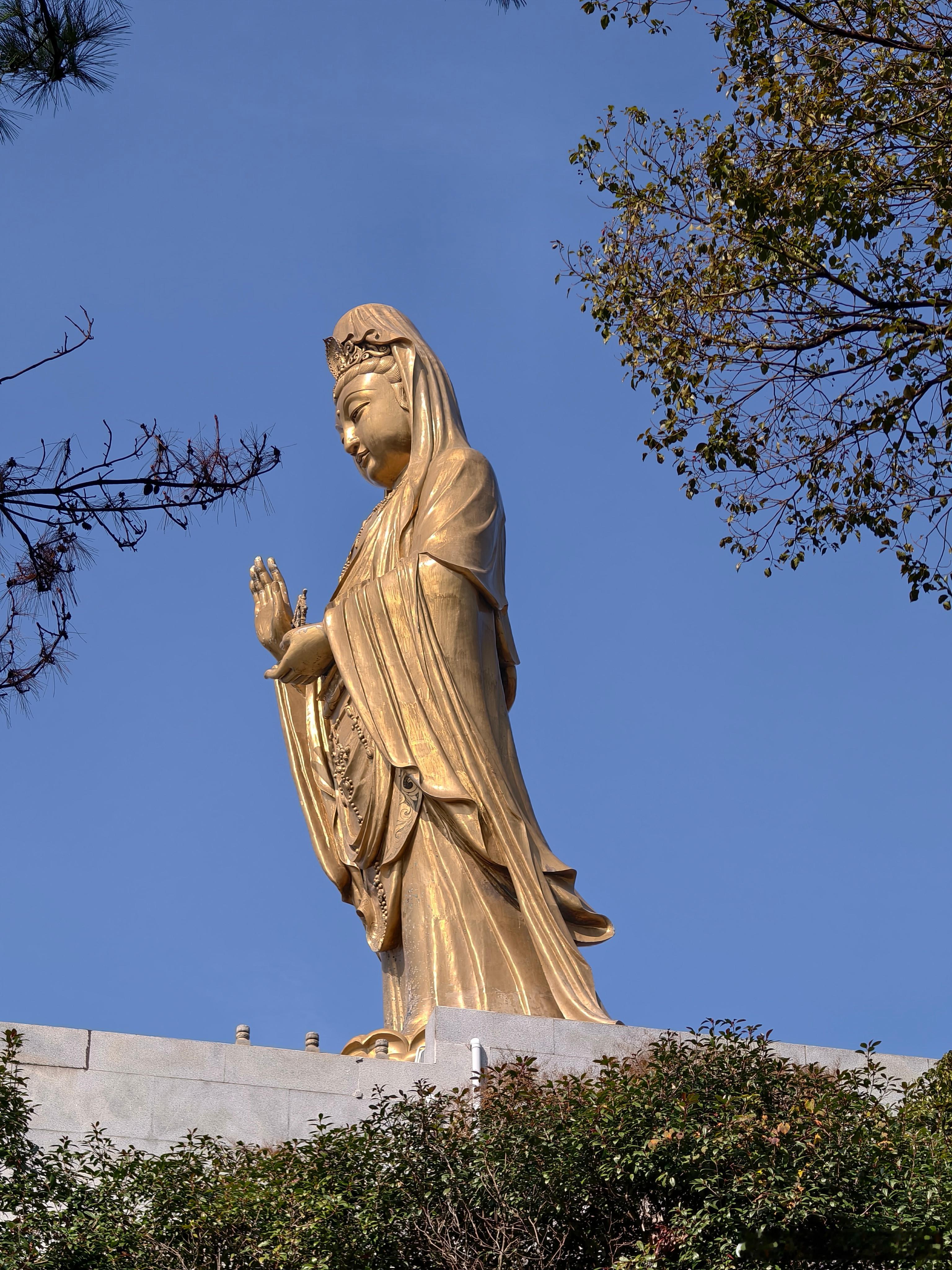 来了就好，越来越好，还会再来。 