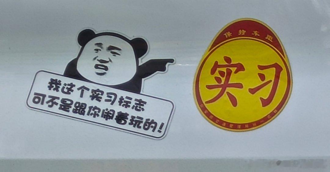 阳光信用 哈哈哈哈，前车有点可爱的