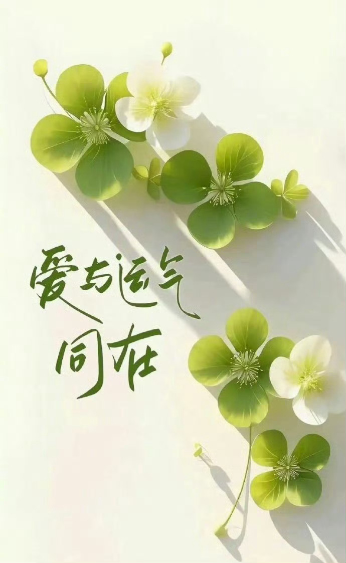 很喜欢的一段话，人生没有幸不幸福，只有知不知足，温饱无忧是幸事，无病无灾是福泽，