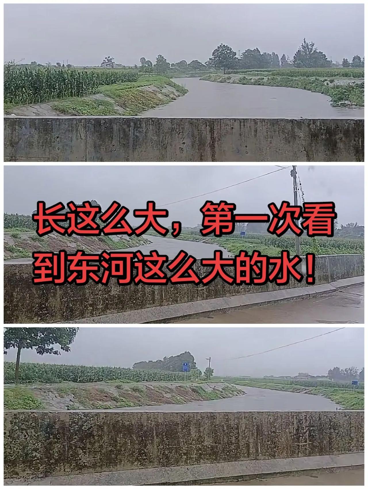这次河南的雨水太大了！
