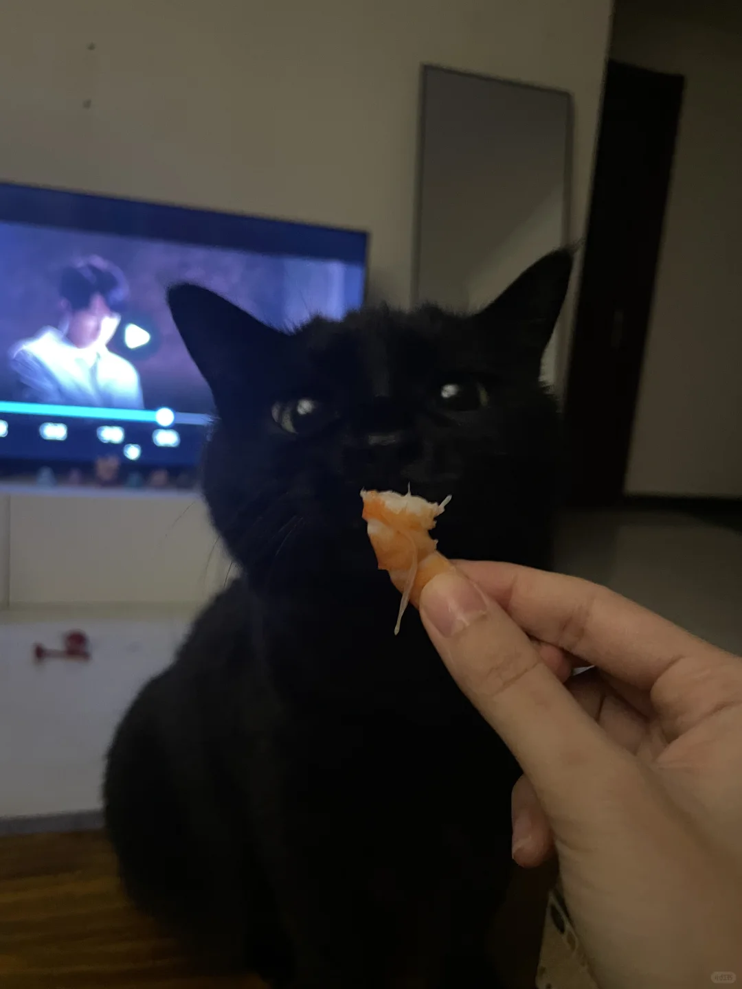 请问我配拥有一个虾虾吗？