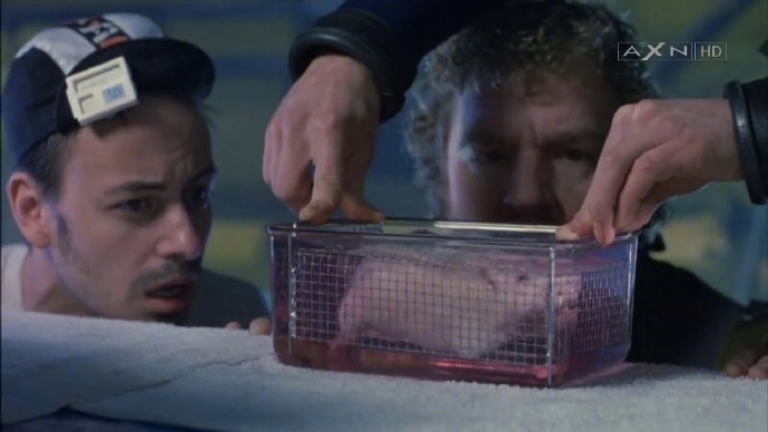 詹姆斯卡梅隆人工呼吸救了一只老鼠曝詹姆斯卡梅隆对一只老鼠人工呼吸 THR关于导演