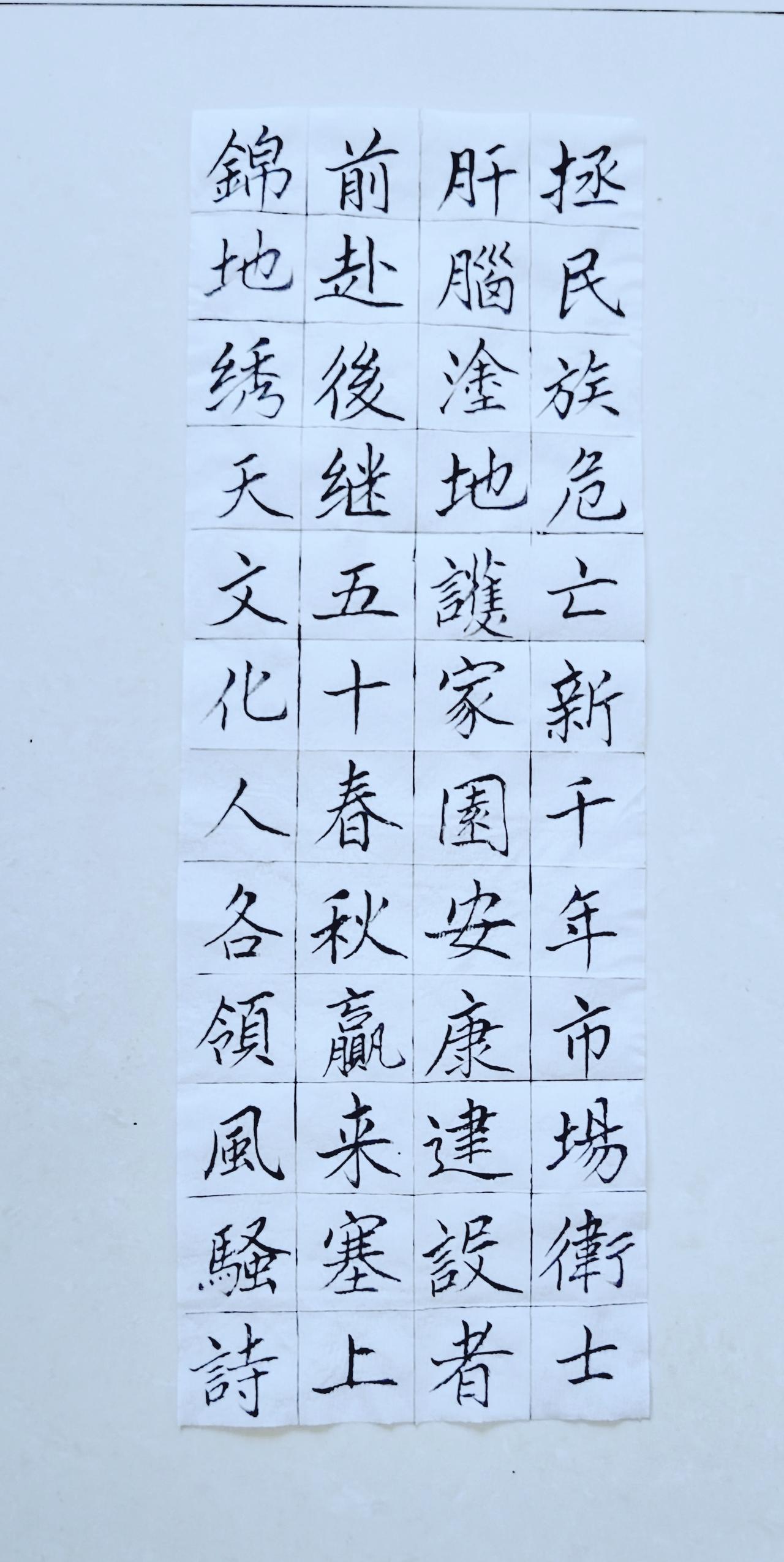 第八十九天《宁夏赋》（12）正楷毛笔练习