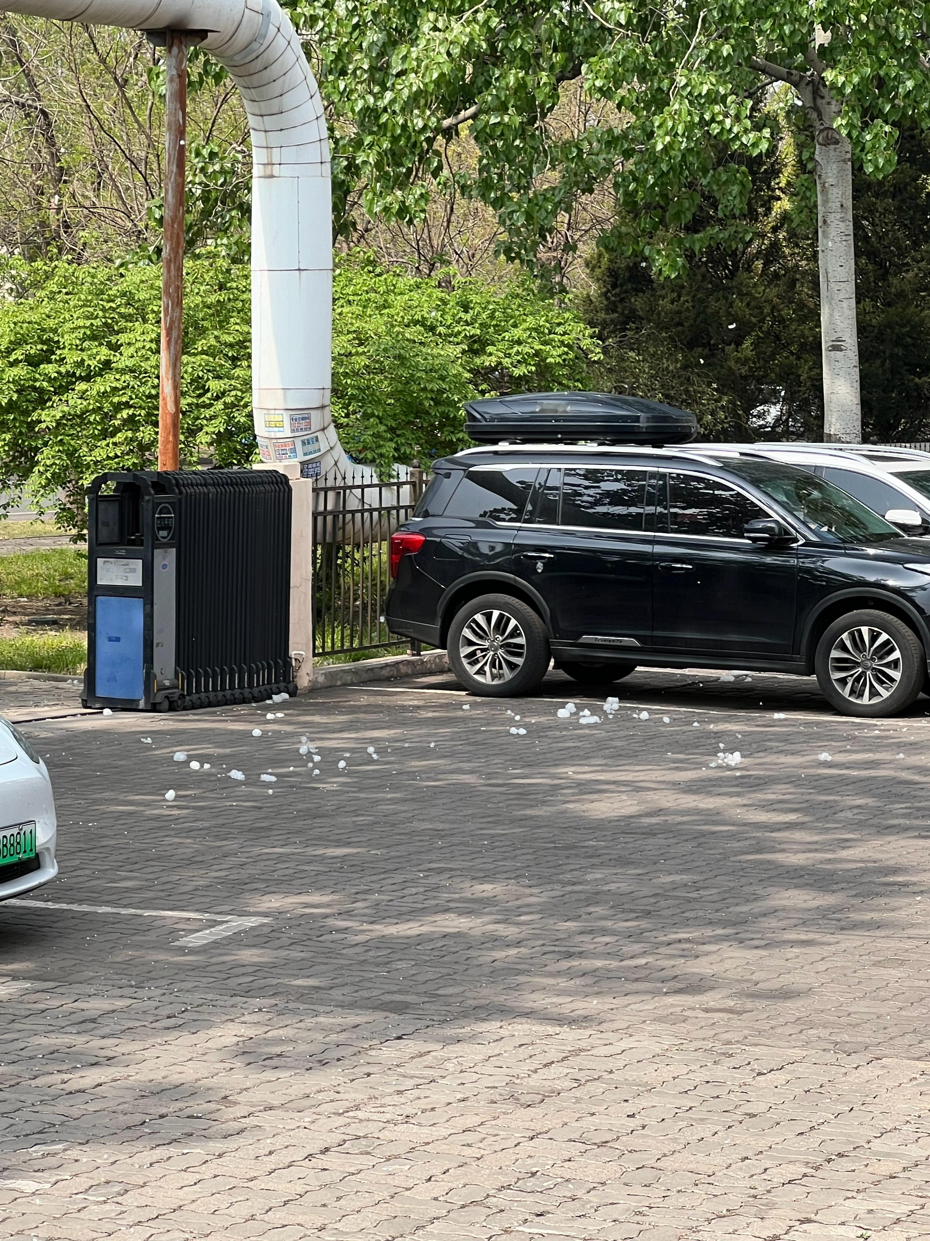 这么近那么美！下一句是啥知道不 天津·中国天津自由贸易试验区