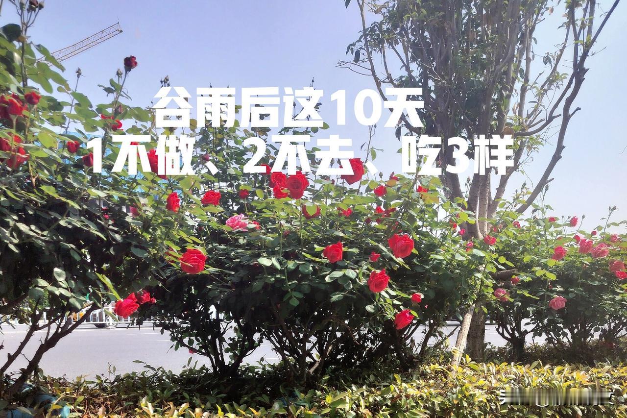 紧急提醒！谷雨后这10天，1不做、2不去、吃3样！全家都要记
 





家人