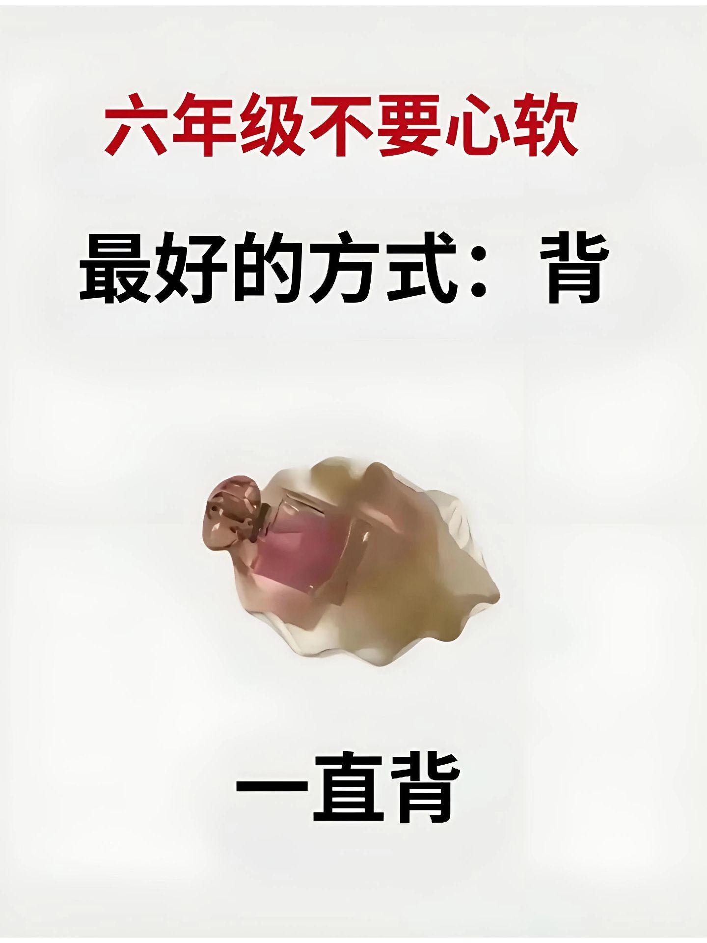 六年级下册数学 六年级下册语文 小升初 分班考