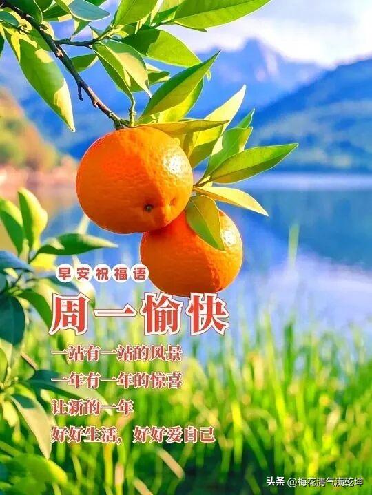 2026/06/29/（农历五月十五）早安祝福语：周一愉快，好好生活，好好爱自己
