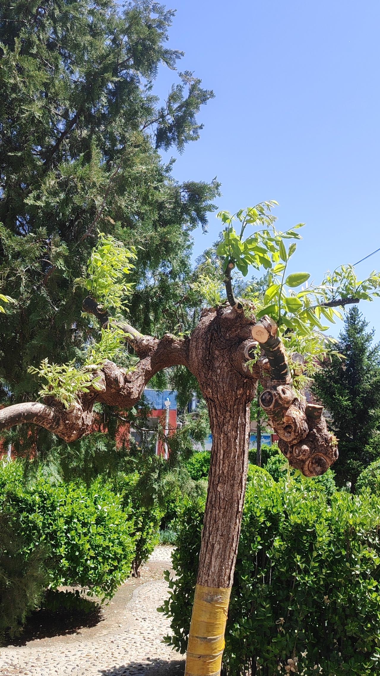 万物一体，心怀感恩：一位老人在临终前，将他的花园留给了全村的人。他说：“这花园里