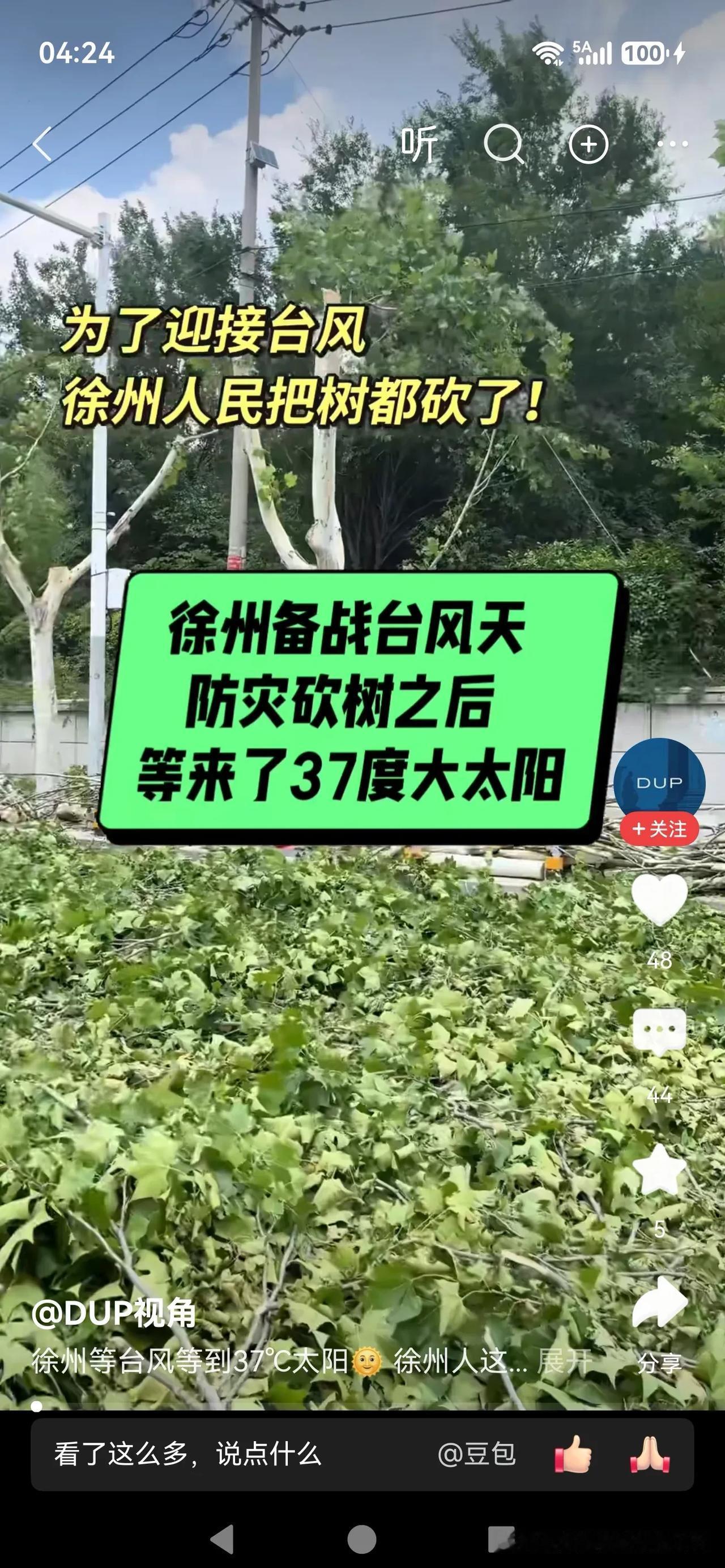 徐州这操作野蛮了，犹如砍伐淮海路法桐树[祝福]