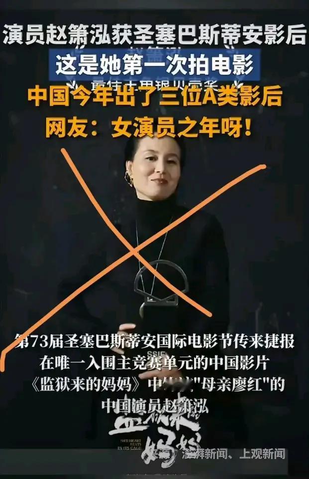 一个因情绪失控杀夫入狱的女人，出狱后竟摇身一变成了影后，还因反抗家暴的“人设”在