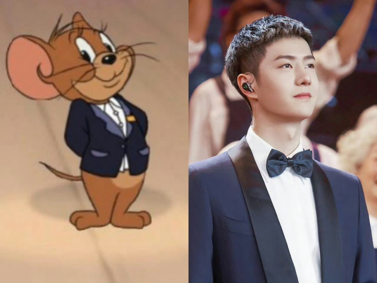 王一博猫和老鼠满级研究学者 只能说王一博的生活已经精彩到只有动画片里才能出现的程