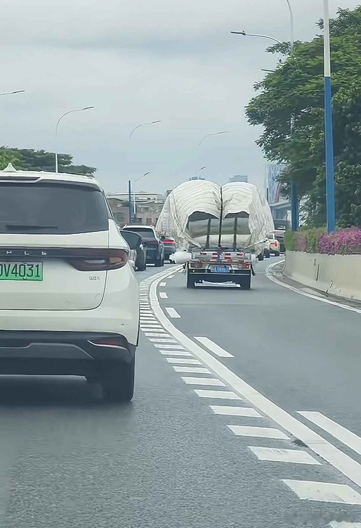 都是正儿八经的中分，谁也别笑话谁