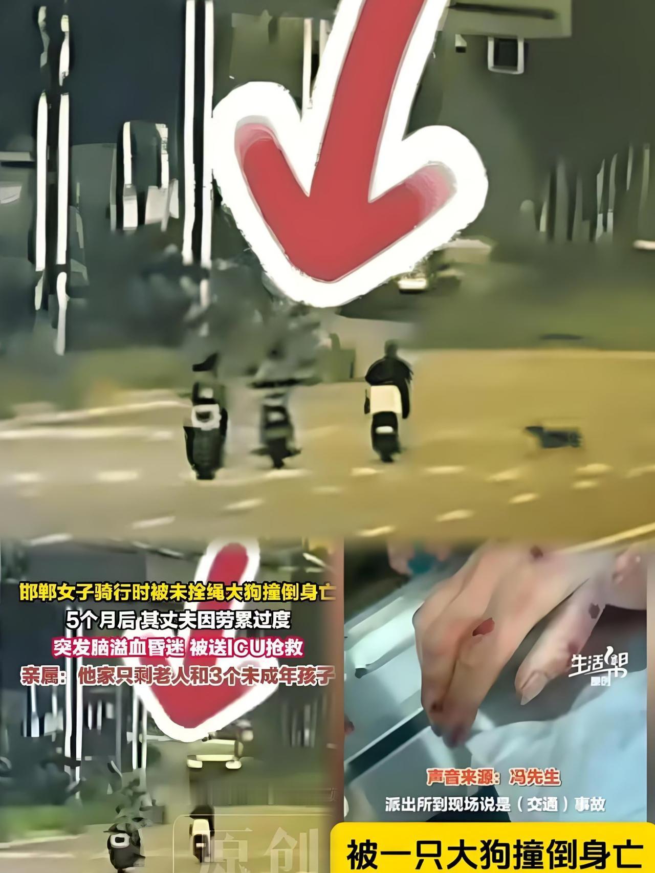 揪心！邯郸一家5月两遭横祸 恶犬夺命后顶梁柱累垮进ICU
 
河北邯郸一户普通人