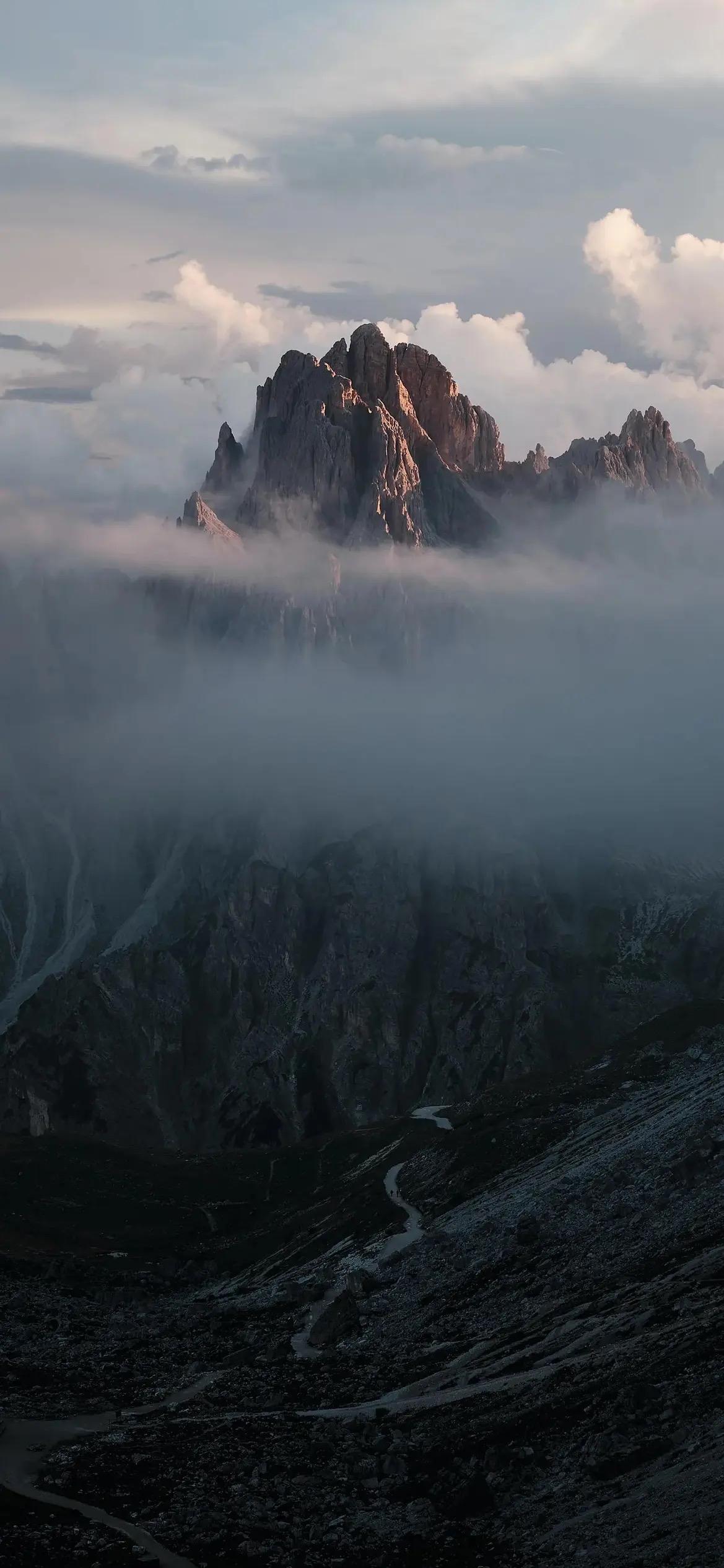 动物类
- 小蚂蚁迷路找不到蚁窝，可着急了，恰好看到它的朋友经过，于是冲过去大喊