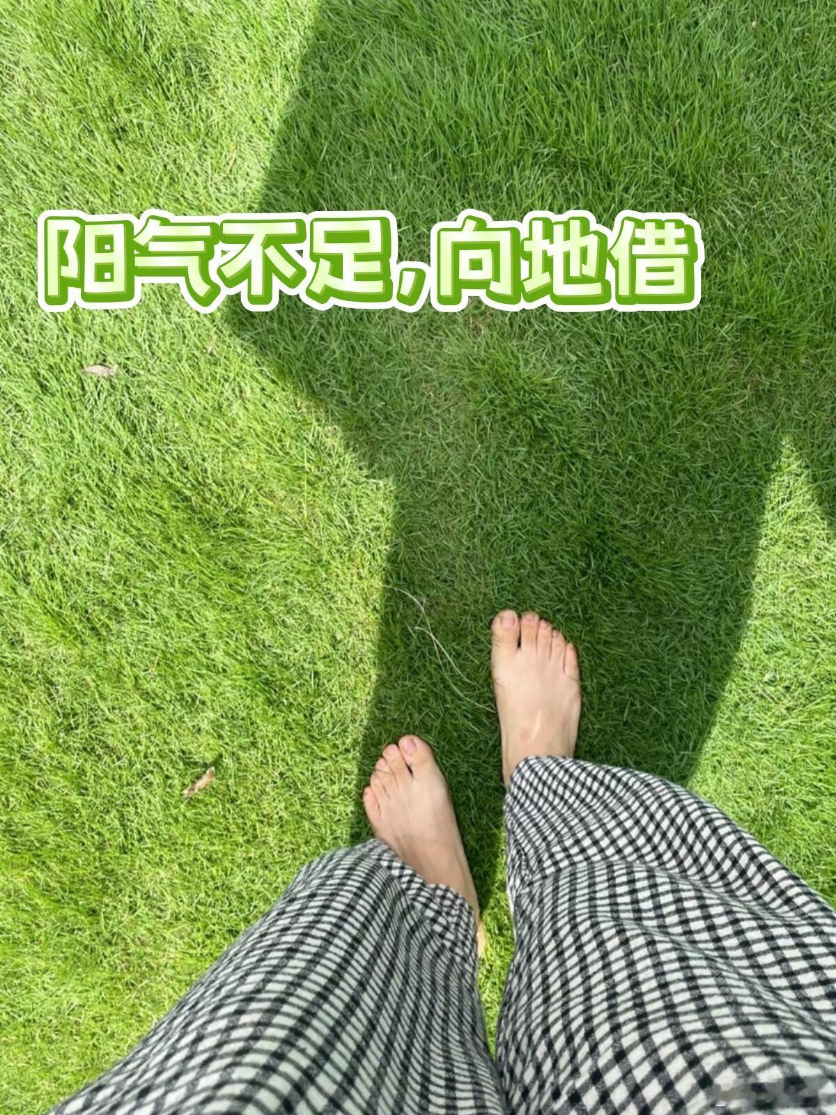 女子听AI建议每天上班摸鱼15分钟AI提示6类人三伏天勿跟风地灸 记得之前有段时