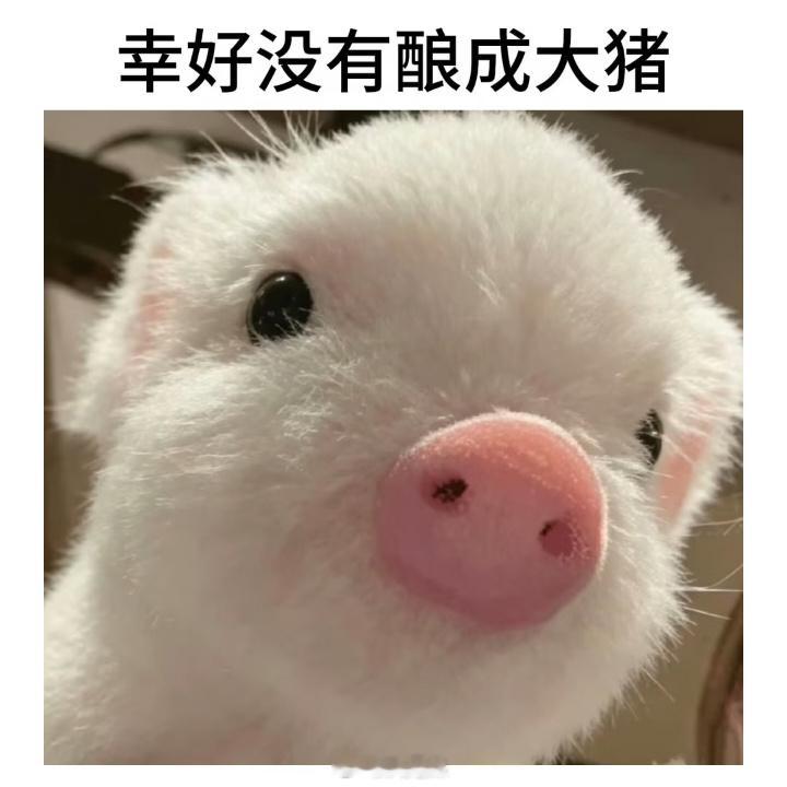 我想先吃一个kfc大蛋挞再开始辟谷怎么样 ​​​